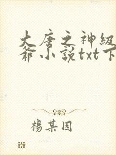 大唐之神级太子爷小说txt下载