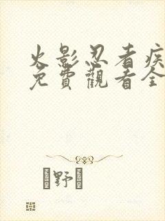 火影忍者疾风传免费观看全集普通话封面