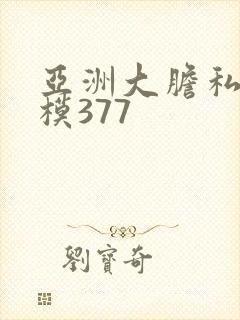 亚洲大胆私拍国模377