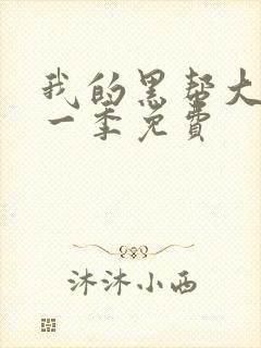 我的黑帮大佬第一季免费封面