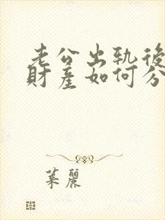 老公出轨后离婚财产如何分割