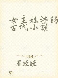 女主姓沐的重生古代小说