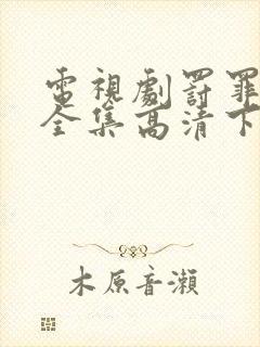 电视剧罚罪免费全集高清下载观看封面
