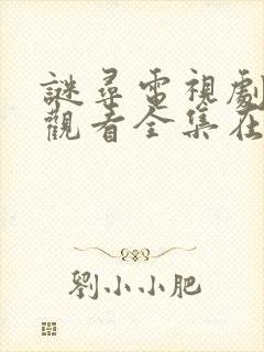谜寻电视剧免费观看全集在线播放