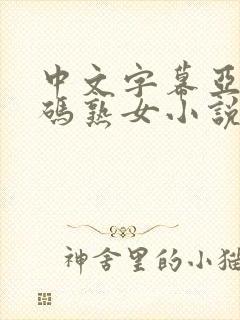 中文字幕亚洲乱码熟女小说