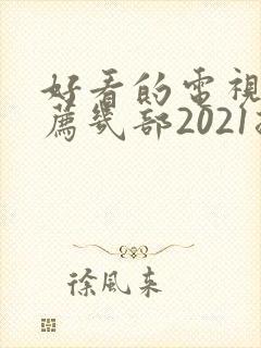 好看的电视剧推荐几部2021排行榜封面