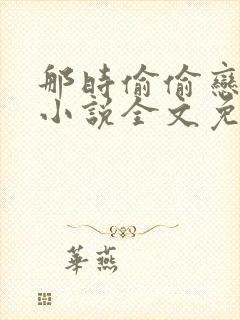 那时偷偷恋着他小说全文免费阅读封面