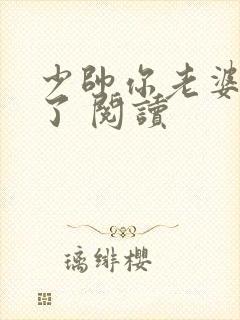 少帅你老婆又跑了 阅读封面