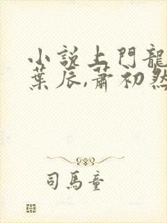 小说上门龙婿,叶辰,萧初然封面