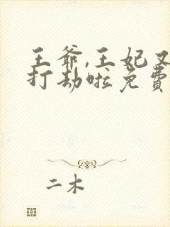 王爷,王妃又去打劫啦免费阅读封面