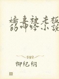 娇妻被老板蹂躏的呻吟小说