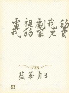 电视剧我的孩子我的家免费观看