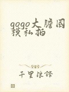 gogo大胆国模私拍封面
