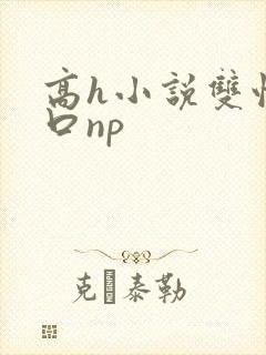 高h小说双性重口np