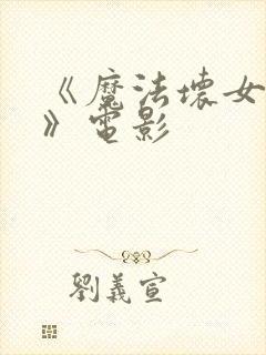《魔法坏女巫2》电影封面