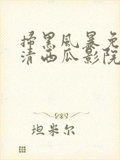 扫黑风暴免费高清西瓜影院封面