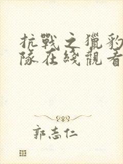 抗战之猎豹突击队在线观看