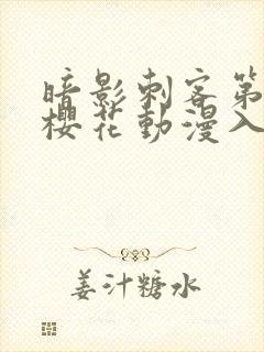 暗影刺客第四季樱花动漫入口
