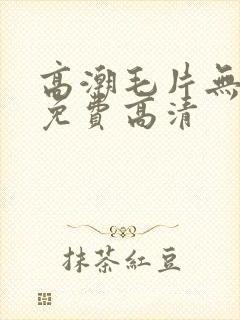 高潮毛片无遮挡免费高清