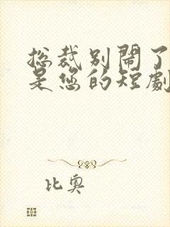 总裁别闹了孩子是您的短剧免费封面