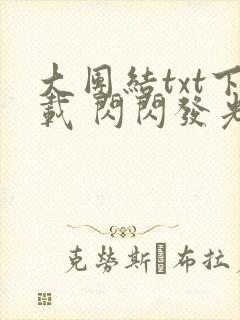大团结txt下载 闪闪发光封面