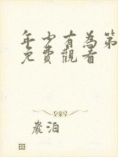年少有为第十集免费观看封面