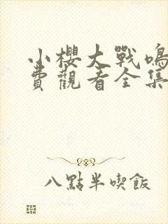 小樱大战鸣人免费观看全集动漫在线观看封面