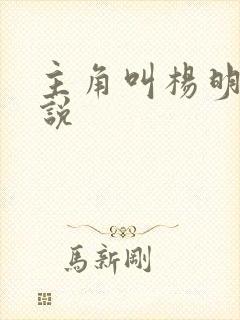主角叫杨明的小说