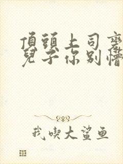 顶头上司变后妈儿子你别懵短剧全集播放