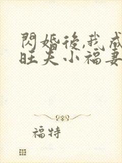 闪婚后,我成了旺夫小福妻