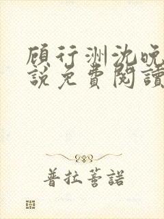 顾行洲沈晚宁小说免费阅读最新章节封面