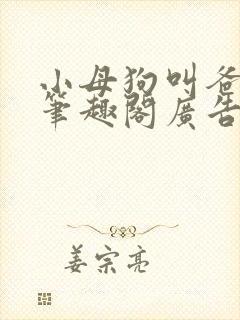 小母狗叫爸爸乖笔趣阁广告