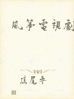 风筝电视剧高清