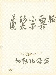 养的小白脸是京圈太子爷