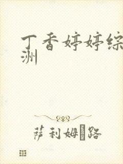 丁香婷婷综合亚洲