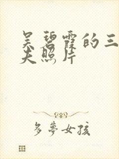 吴碧霞的三任丈夫照片