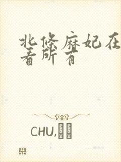 北条麻妃在线观看所有