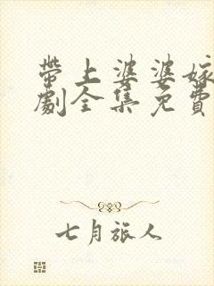 带上婆婆嫁电视剧全集免费观看