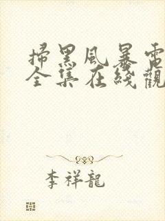 扫黑风暴电视剧全集在线观看免费