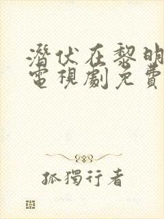 潜伏在黎明之前电视剧免费观看全集