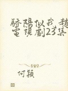 骄阳似我赵今麦电视剧23集