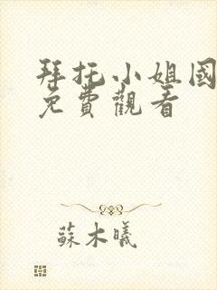 拜托小姐国语版免费观看