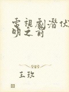 电视剧潜伏在黎明之前
