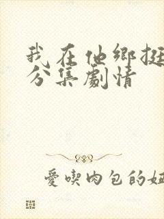 我在他乡挺好的分集剧情