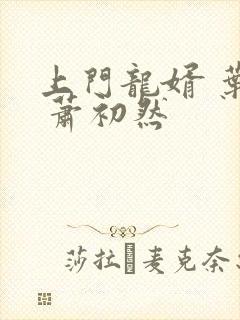 上门龙婿 叶辰 萧初然