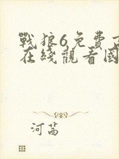 战狼6免费高清在线观看国语