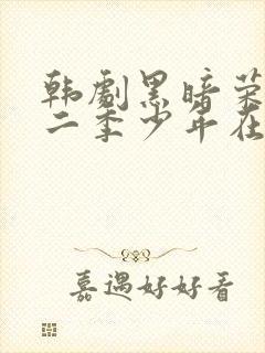 韩剧黑暗荣耀第二季少年在线观看免费