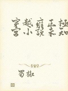 穿越雍正极品后宫小说未知