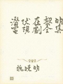 潜伏在黎明之前电视剧全集免费观看