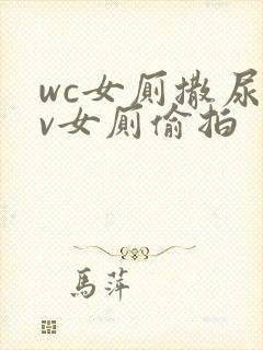 wc女厕撒尿tv女厕偷拍